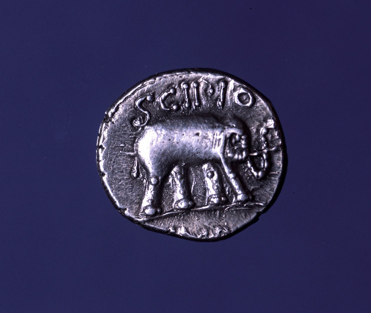 Sølvmynt som representerer en elefant, fetisjdyr fra Scipions. Lucius Caecilius Metellus grep de karthagiske elefantene i 251 f.Kr. 47-46 f.Kr. av Roman
