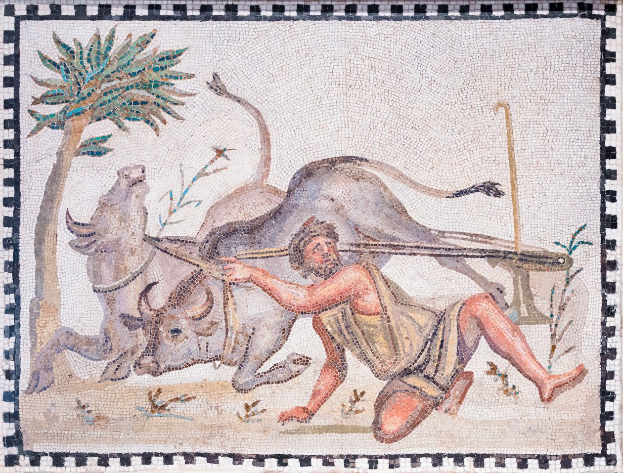 Plogmannen med okser, 3.-4. århundre (mosaikk) av Roman