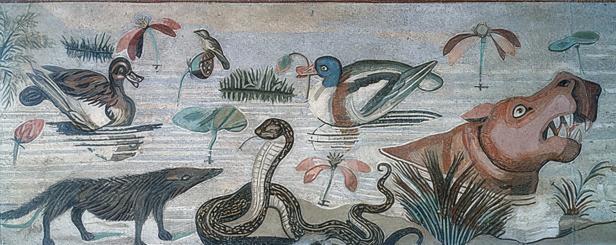 Dyr i Nilen, fra Faunens hus (Casa del Fauno), Pompeii av Roman