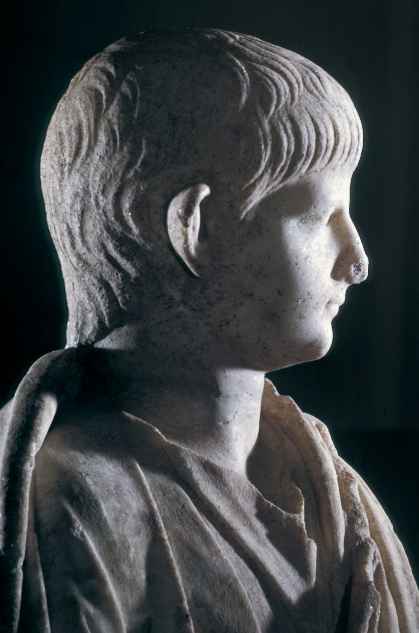 Togate-statue av den unge Nero, sett fra siden av hodet, ca. 50 e.Kr. (marmor) (detalj av 140378) av Roman