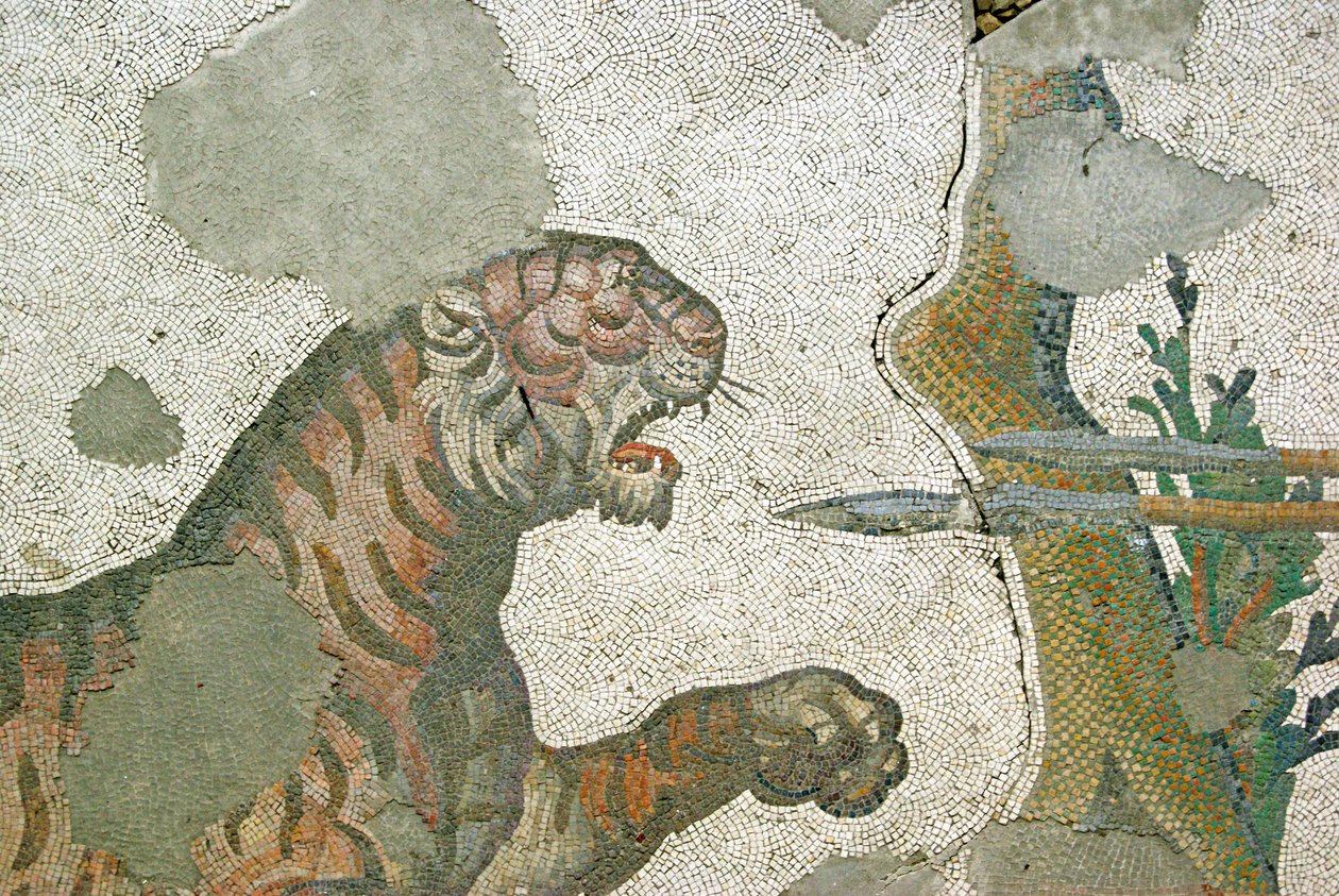 Ukjent bilde av Roman