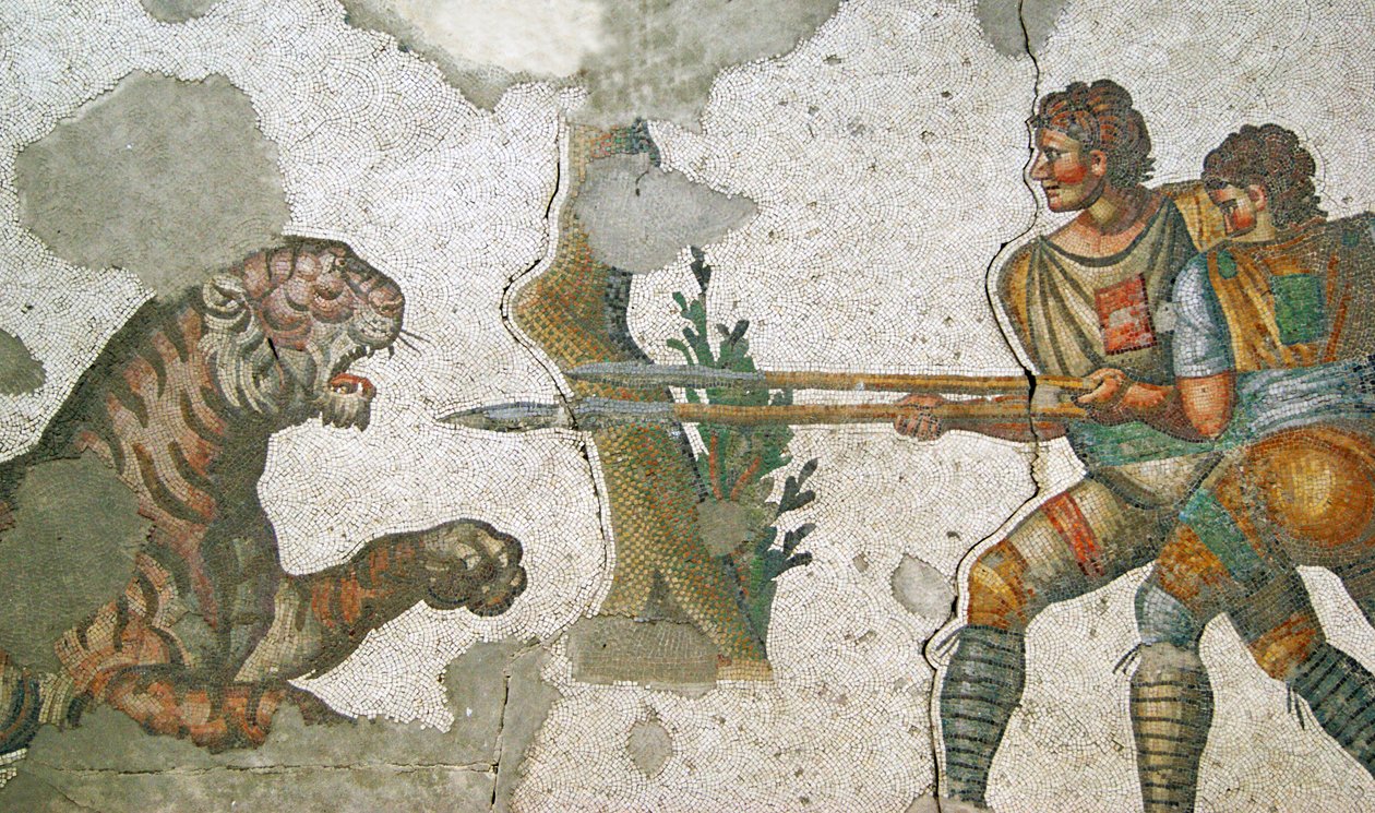 Ukjent bilde av Roman
