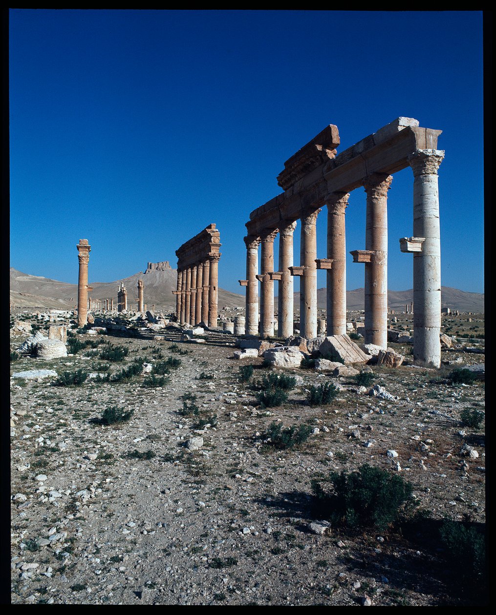 Utsikt over Palmyra-rester (fotografi) av Roman