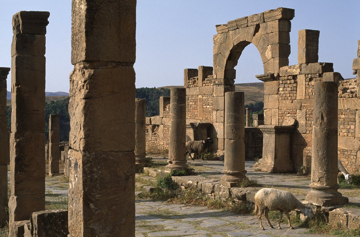 Cardo og inntreden av Cosinius Market, High Imperial Period (27 BC-395 AD) av Roman Imperial Period