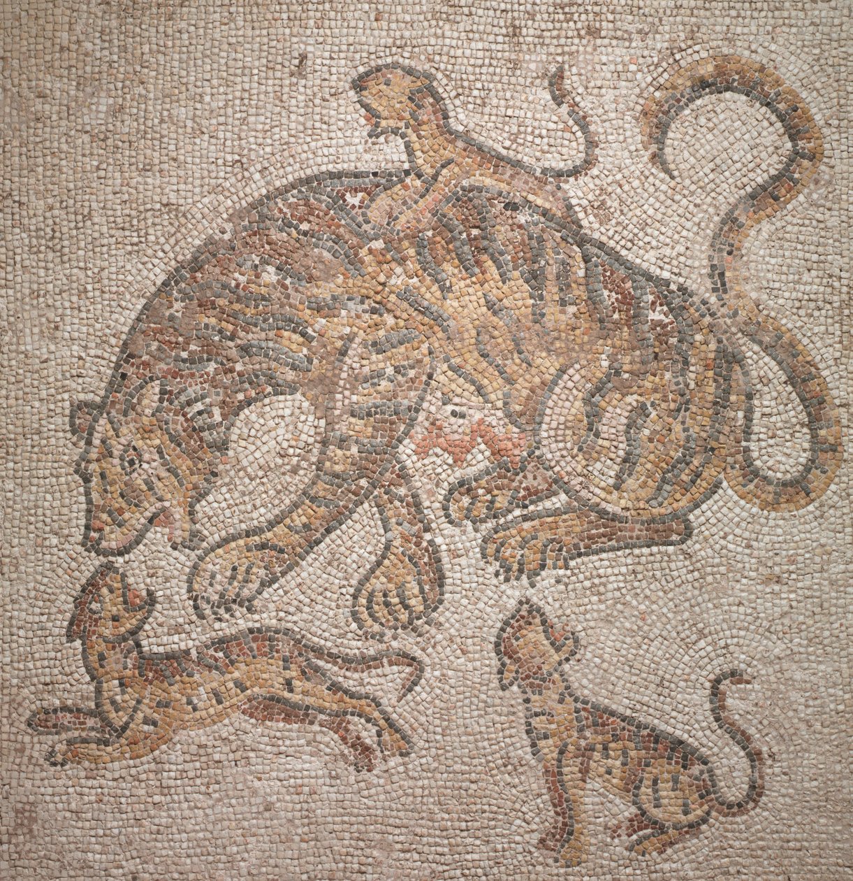 Tigress and Cubs, 300-tallet av Roman Imperial Period