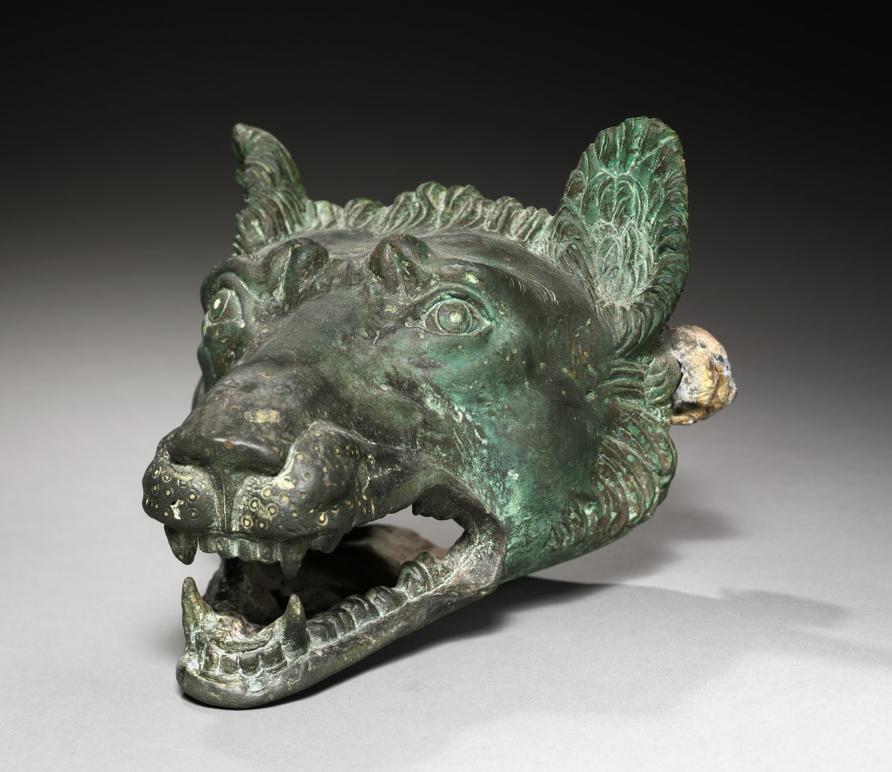Wolf-Head Lekter Fixture, 1-200 av Roman Imperial Period
