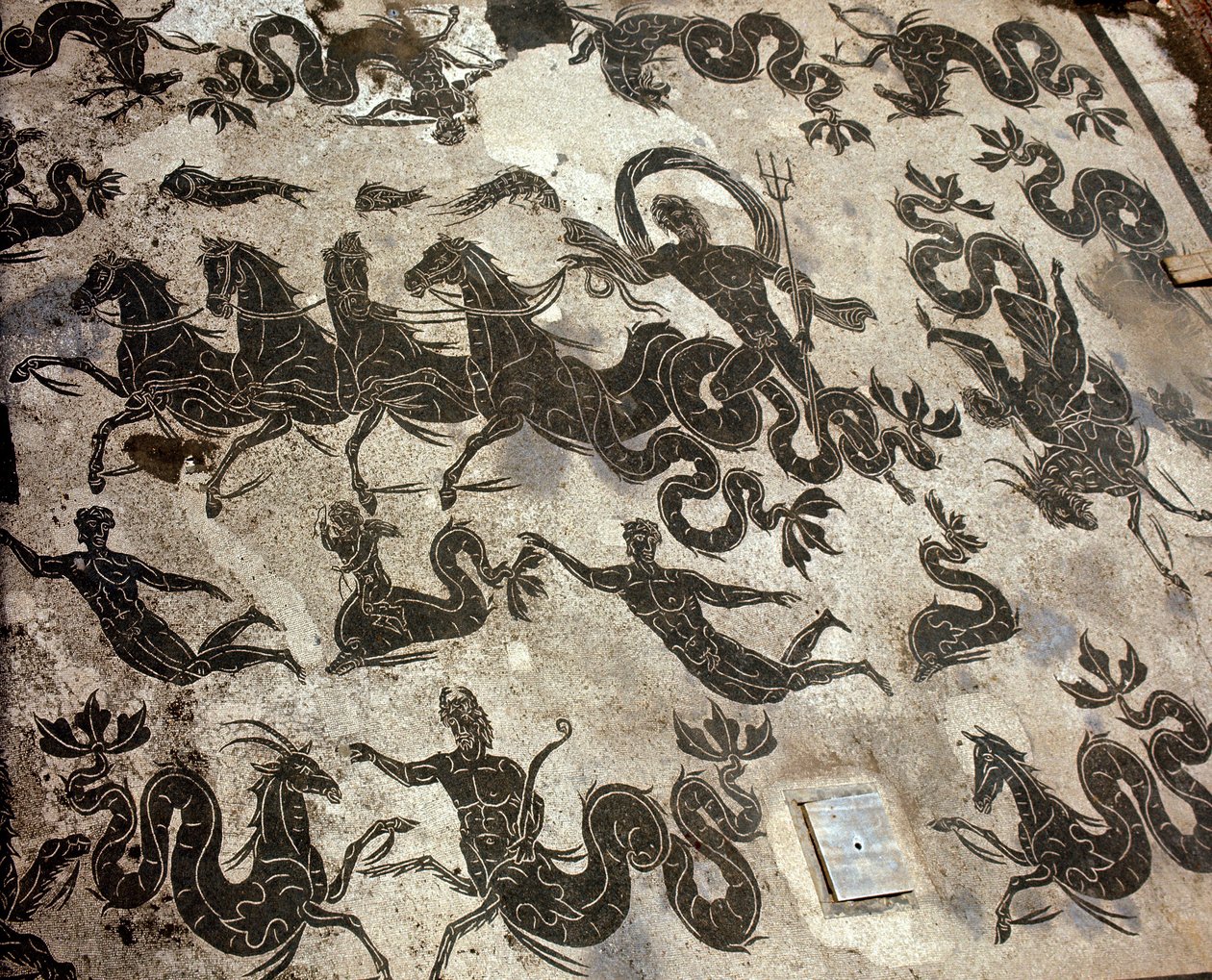 Gamle Ostia (Ostia). Mosaic of Neptuns termer på tanken hans omgitt av delfiner og marine monstre av Roman Roman