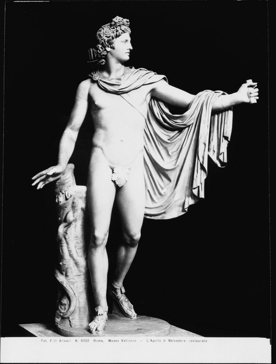 Apollo Belvedere, romersk kopi av en gresk original fra 400-tallet f.Kr. (marmor) (s/hv-foto) (etter restaurering) av Roman Roman