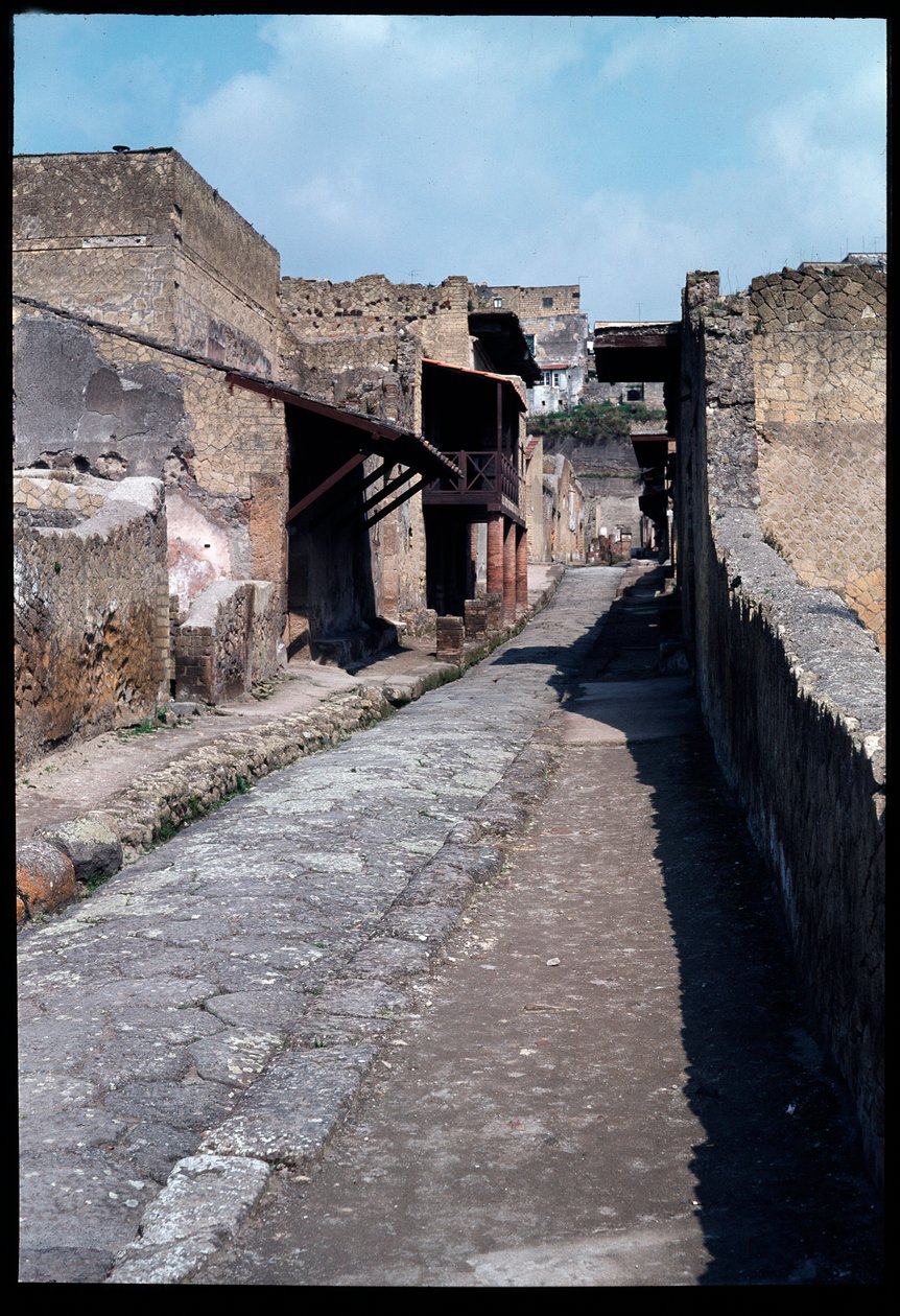 Cardo IV, 5. århundre f.Kr.-1. århundre e.Kr av Roman Roman