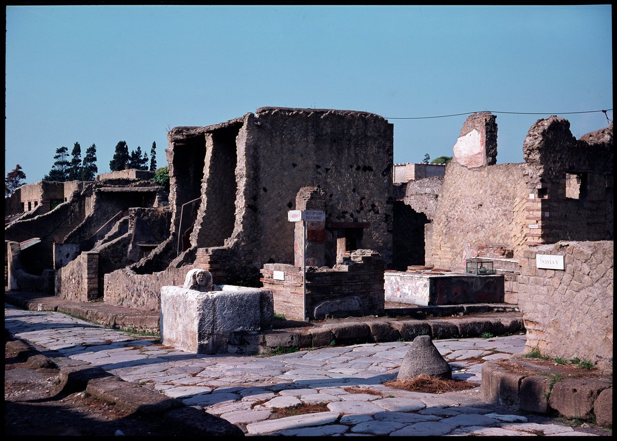 Kryss mellom cardo V og nedre decumanum, 5. århundre f.Kr.-1. århundre e.Kr av Roman Roman