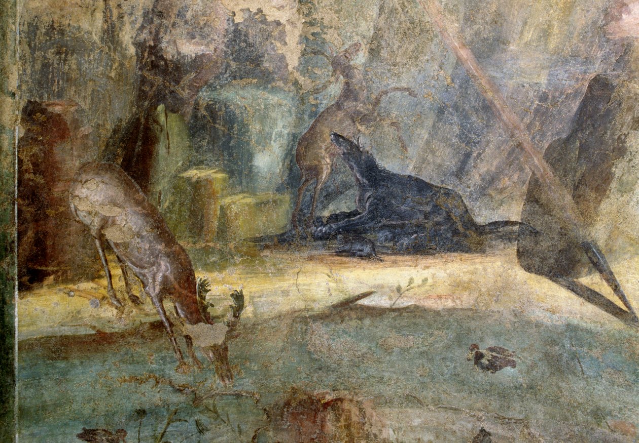 Hjort angrepet av hund, detalj fra Actaeon slukt av hundene hans, freskomaleri fra House of Menander, Pompeii (UNESCOs verdensarvliste av Roman Roman