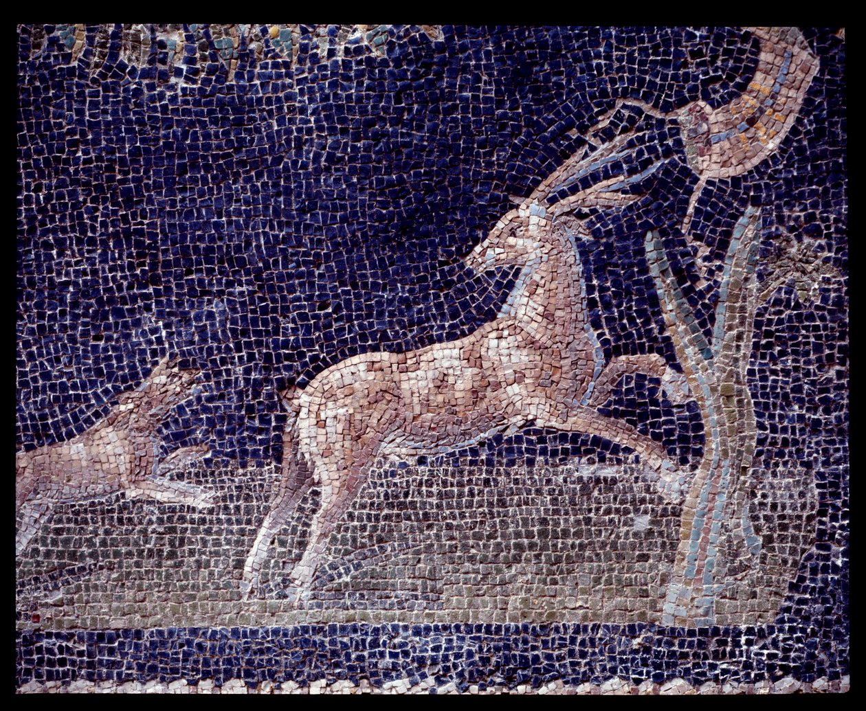 Detalj av veggmosaikker av nymfeumet til Casa di Nettuno e Amphitrite, 5. århundre f.Kr.-1. århundre e.Kr. av Roman Roman