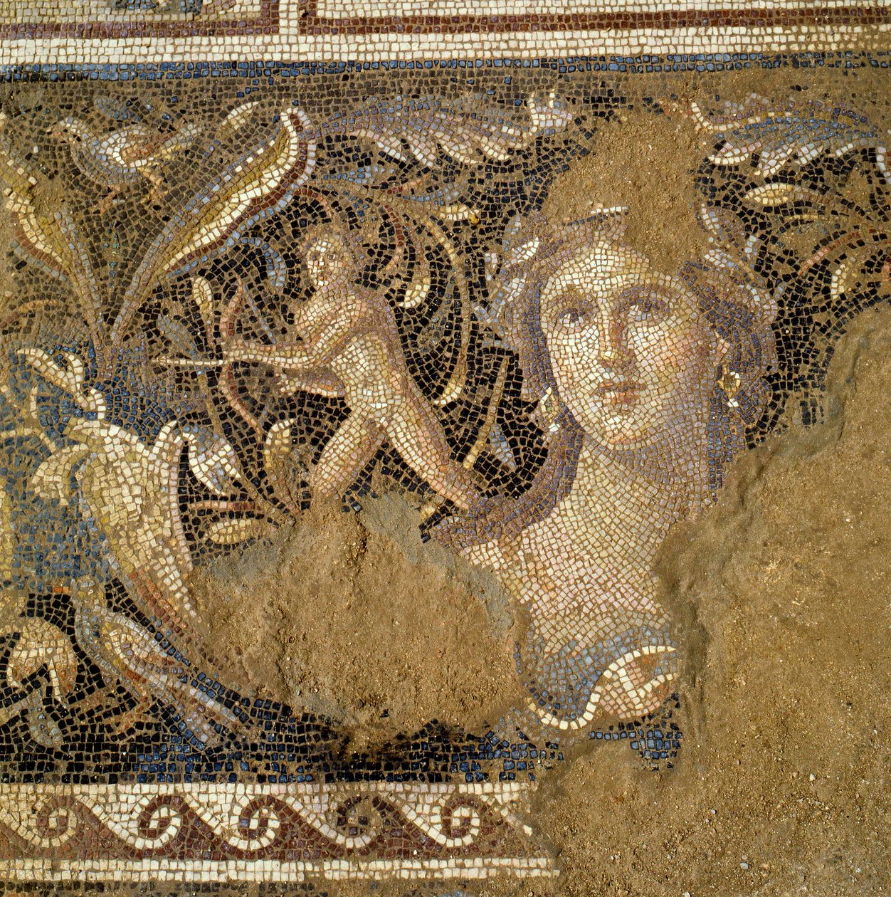 Etasje fra en romersk villa i Zippori (Nasaret) som viser scener fra livet til Dionysos, detalj av ansiktet til en kvinne kjent som Mona Lisa fra Galilea, 3.-4. århundre e.Kr. (mosaikk) av Roman Roman