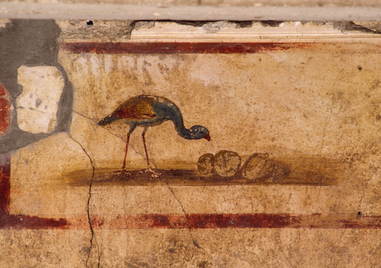 Freske som viser fugl fra peristylium i House of Caius Julius Polybius, Pompeii (UNESCOs verdensarvliste av Roman Roman
