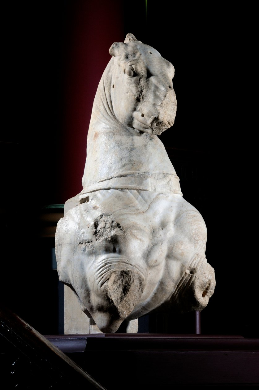 Fremre del av en hest (marmor) (se også 371182 og 371183) av Roman Roman
