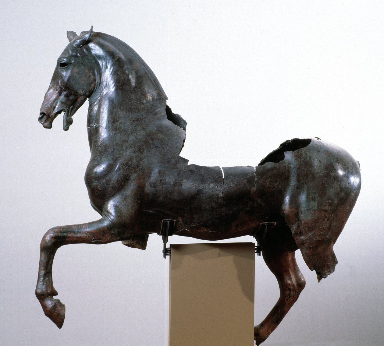 Hest (bronseskulptur etter en gresk original fra det 4. århundre f.Kr.) av Roman Roman