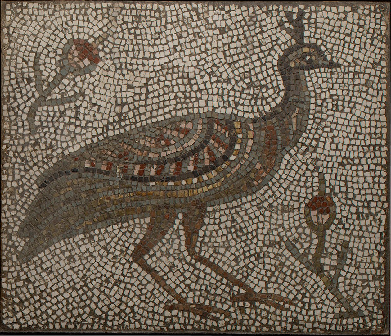 Mosaikk med en påfugl og blomster, 3.-4. århundre (mosaikk) av Roman Roman