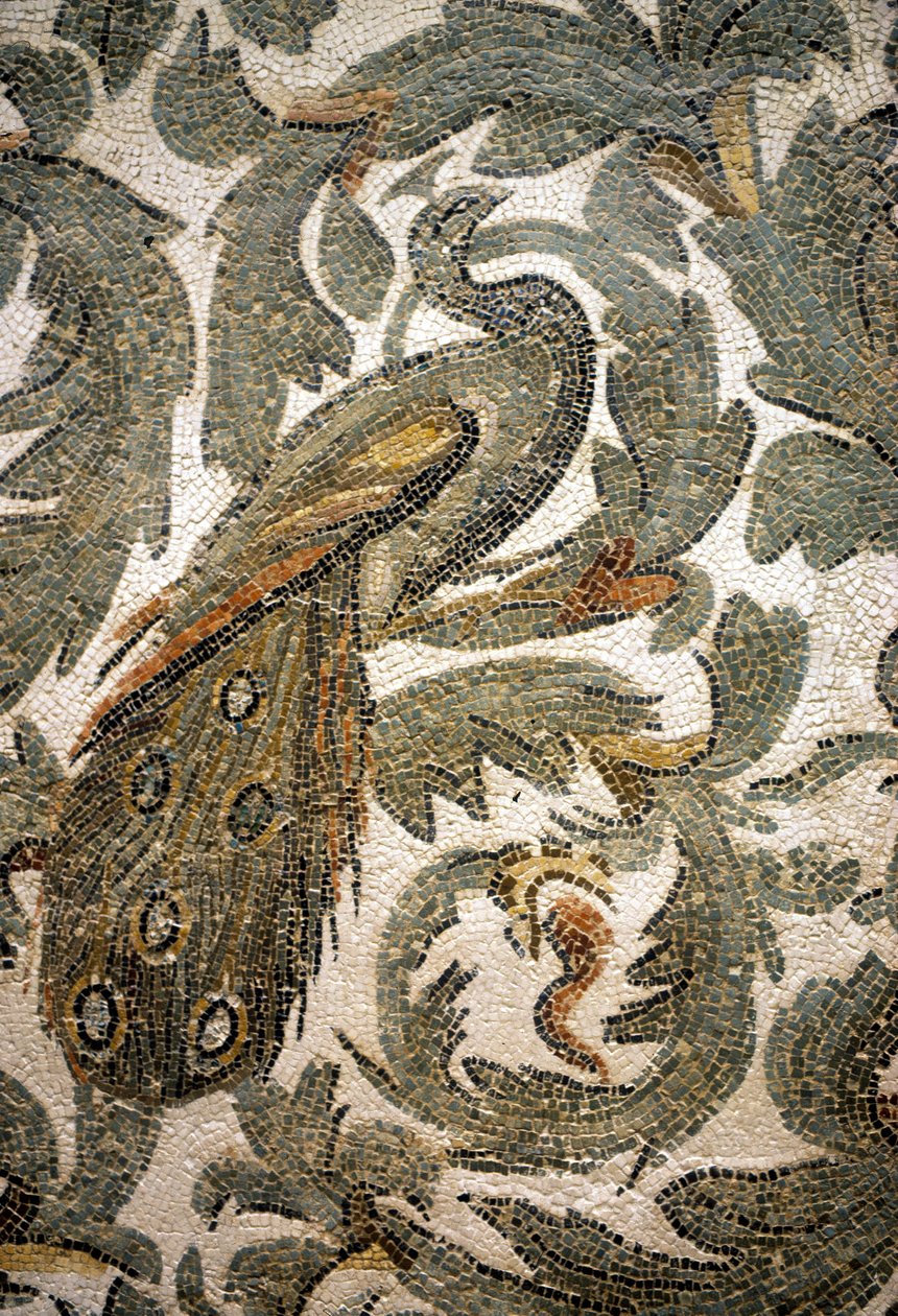 Påfugl, detalj av mosaikk - 4. århundre e.Kr., Bardo-museet, Tunis av Roman Roman