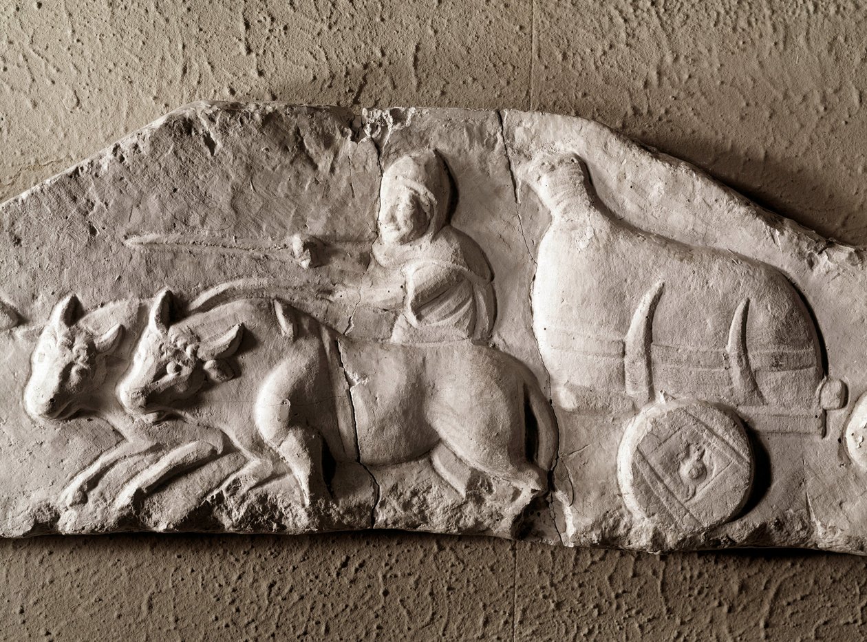Romersk kunst: utskåret oksetank, romersk antikvitetsmuseum, Roma av Roman Roman