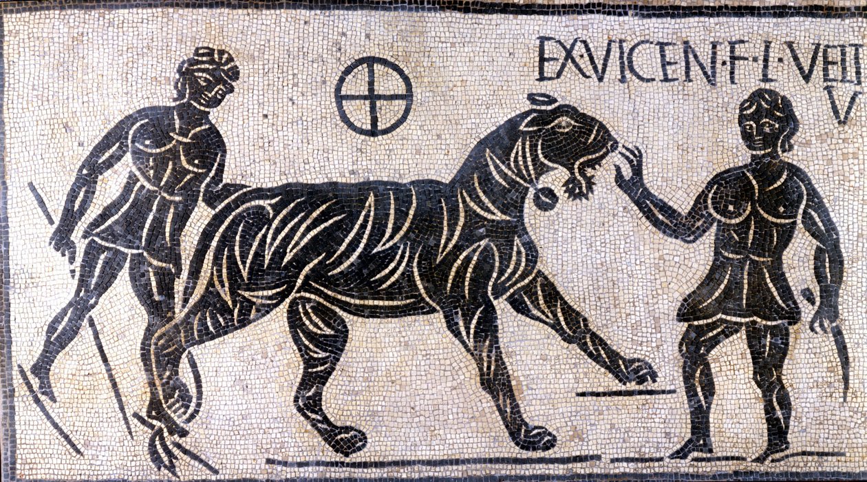Tigertemmere i veggene til Colosseum - romersk mosaikk av Roman Roman