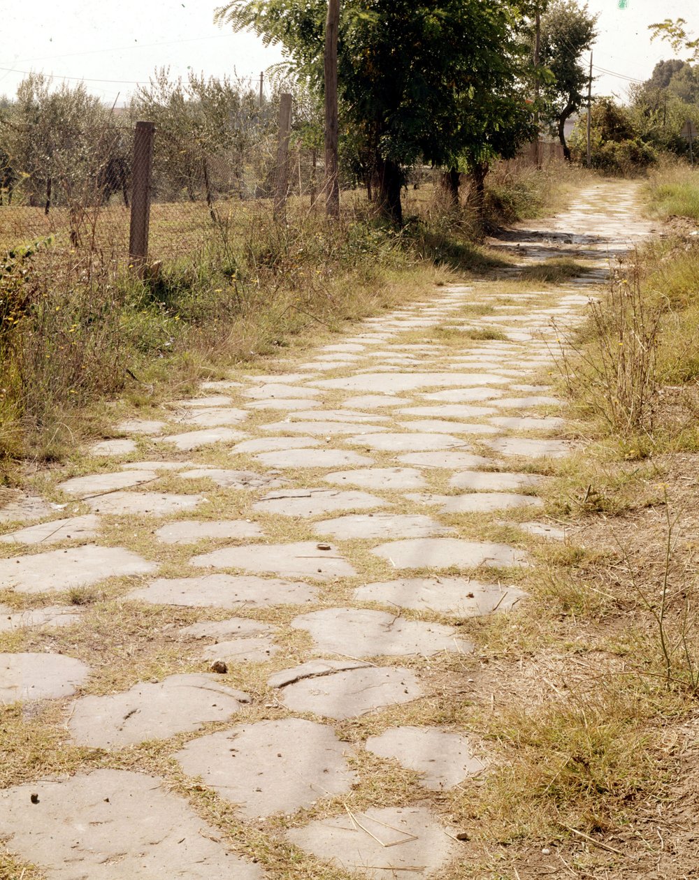 Via Flaminia, Roma. av Roman Roman