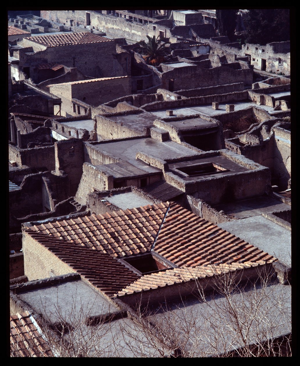 Utsikt over Casa sannitica, 5. århundre f.Kr.-1. århundre e.Kr av Roman Roman