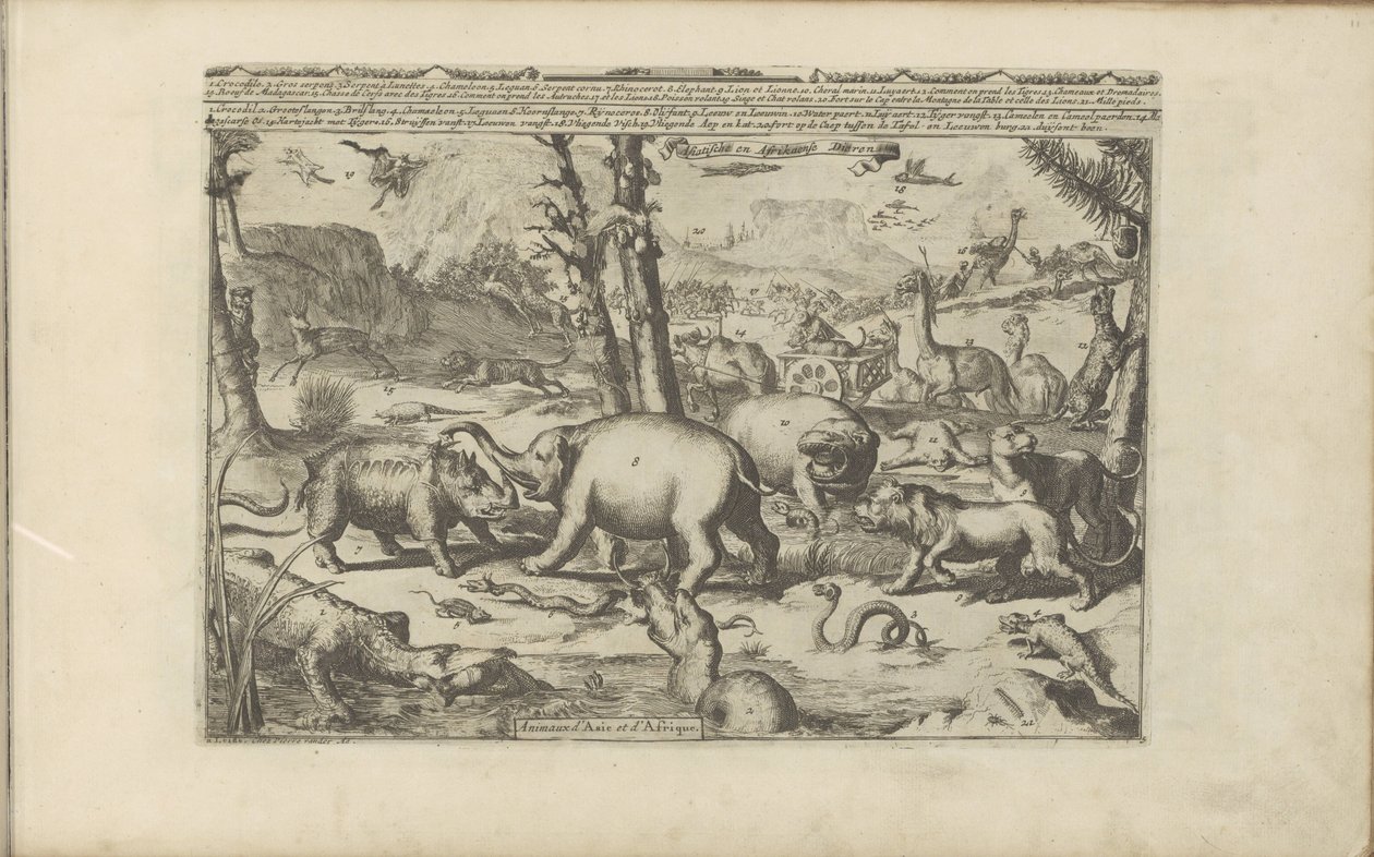 Aziatische en Afrikaanse dieren Aziatische en Afrikaanse dieren / Animals of Asia and Africa (tittel på objekt) Øst- og Vestindia og andre steder (serietittel) av Romeyn de Hooghe