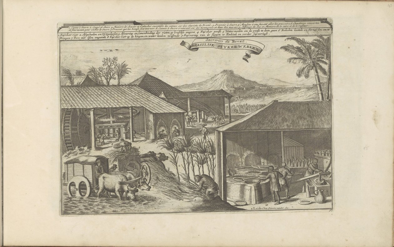 Brasilianske sukkerarbeidere Brasilise Suykerwerken / Sweets from Brasil (tittel på objekt) Øst- og Vestindia og andre steder (serietittel) av Romeyn de Hooghe