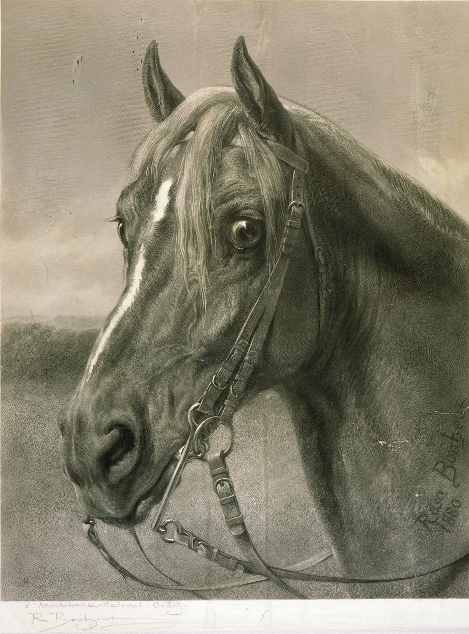 Til oberst Cody av Rosa Bonheur