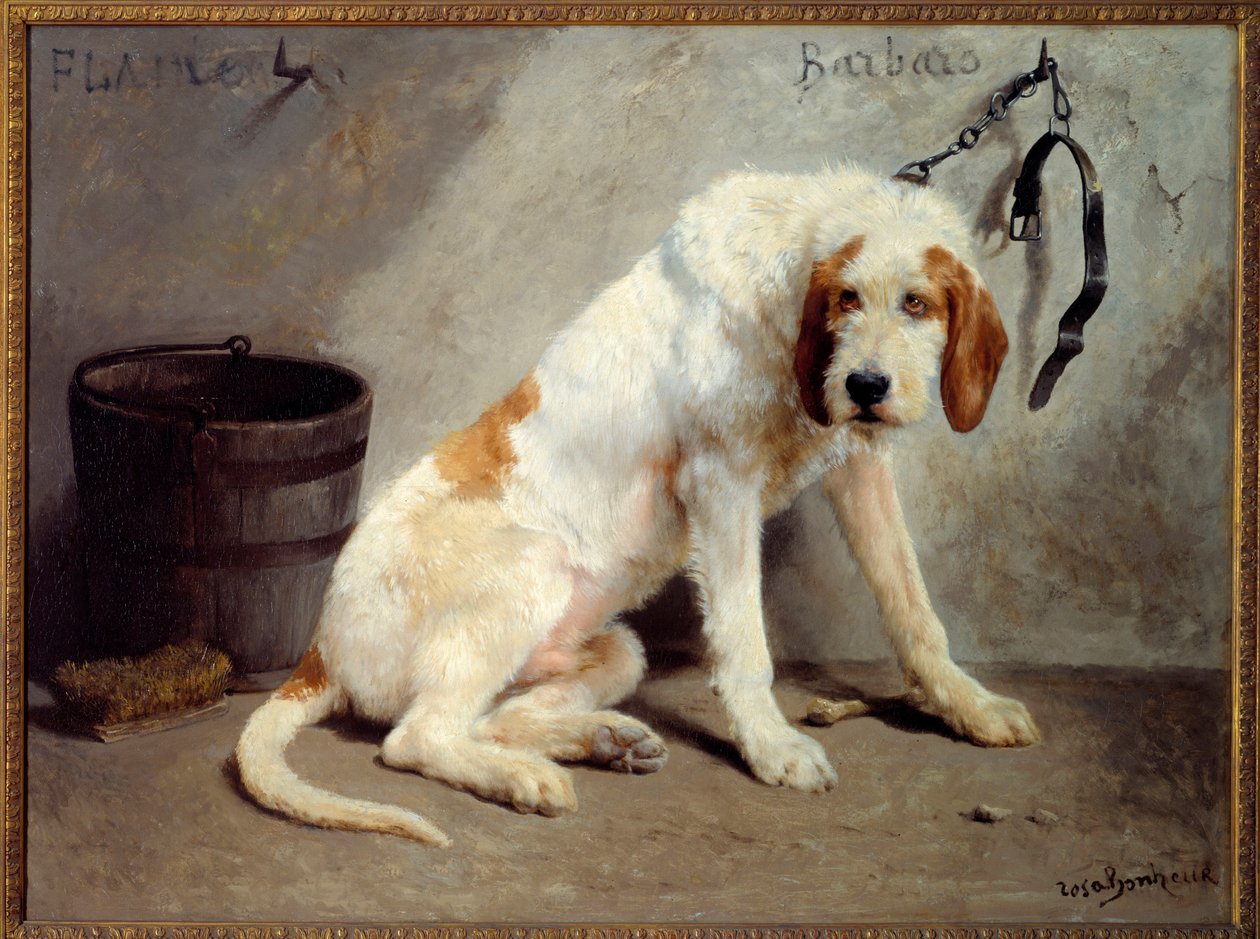 Barbaro-hunden etter jakten (jakthund) av Rosa Bonheur