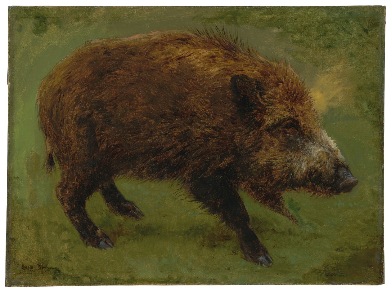 Villsvinet (olje på lerret) av Rosa Bonheur