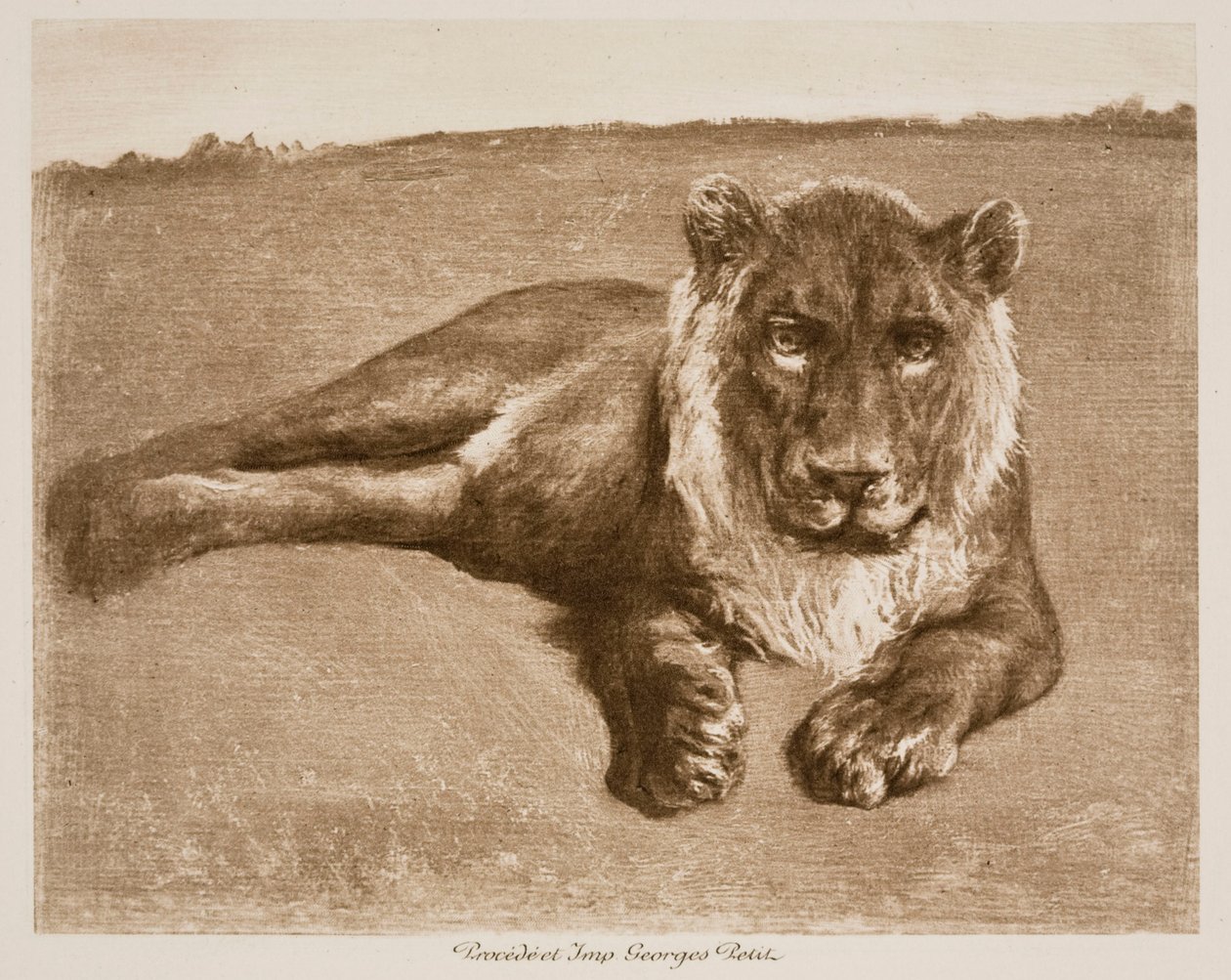 Løve av Rosa Bonheur