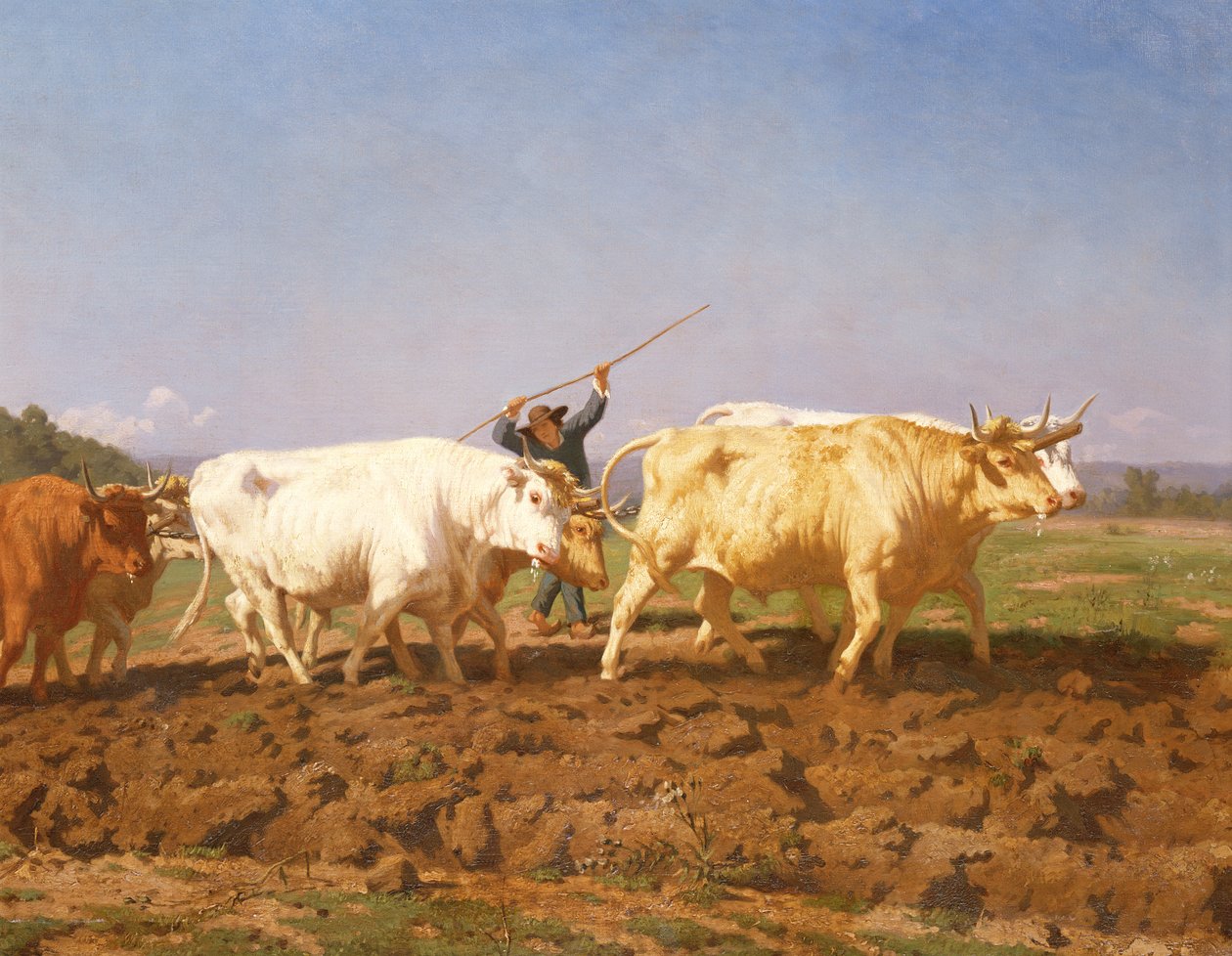 Pløying i Nivernais, 1850 detalj av 60149 av Rosa Bonheur