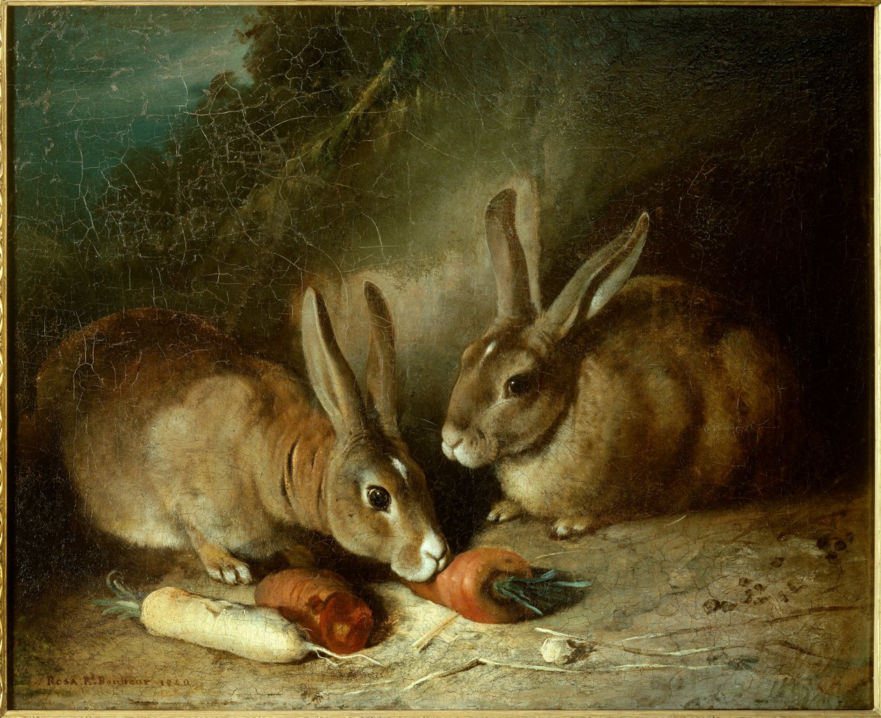 Kaniner. Maleri av Rosa Bonheur (1822-1899) av Rosa Bonheur