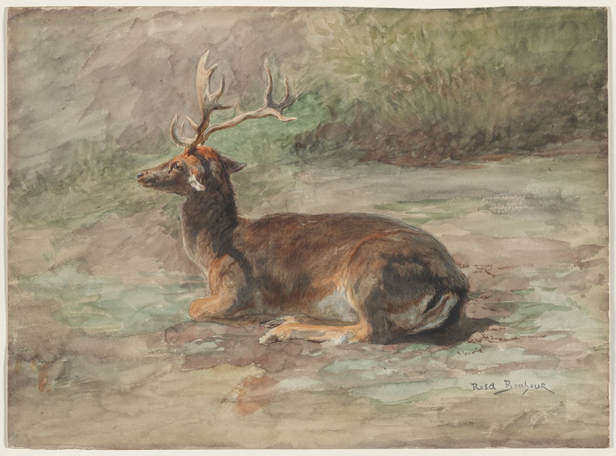Recumbent Stag, andre halvdel av 1800-tallet (akvarell og gouache over grafitt) av Rosa Bonheur