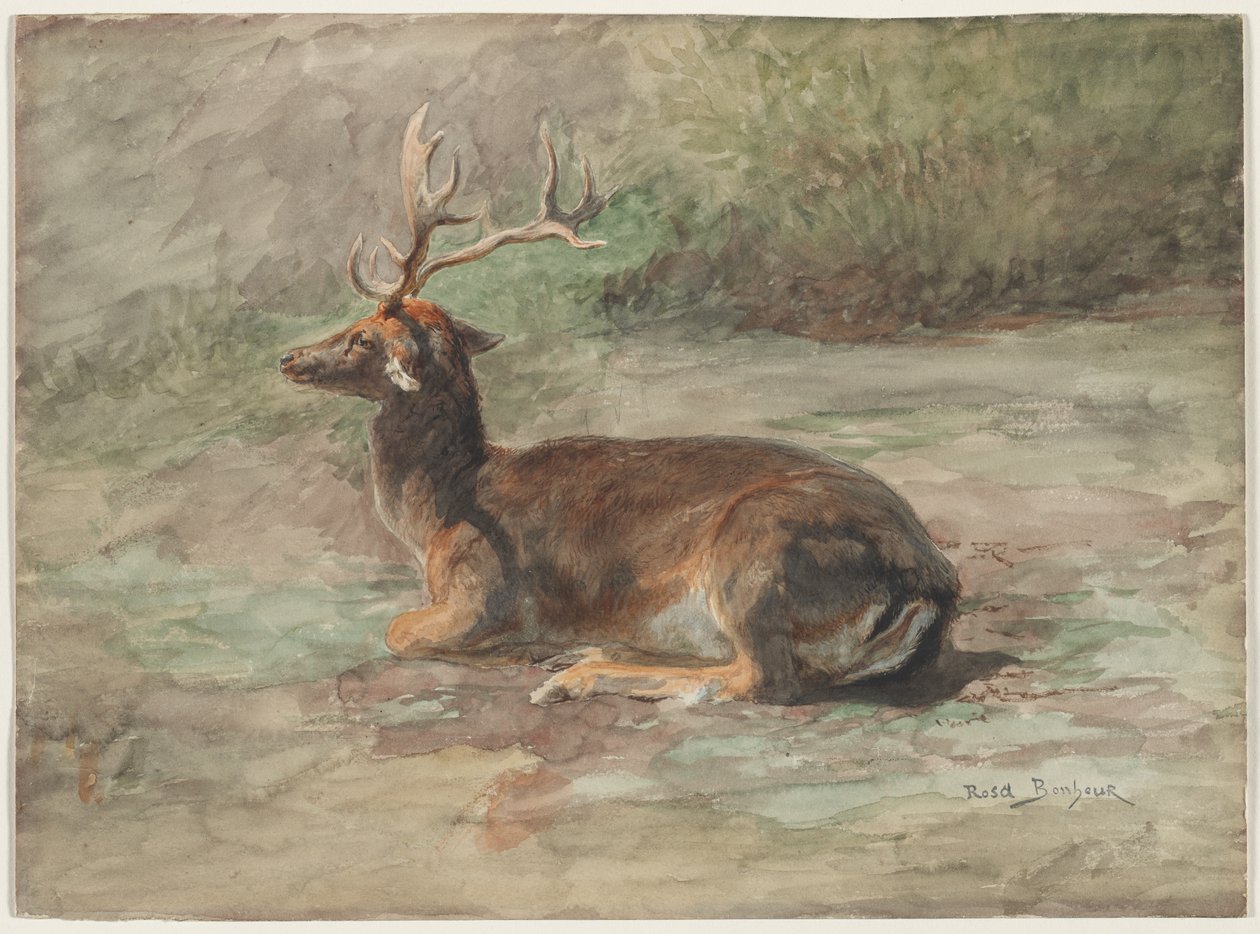 Liggende hjort, andre halvdel av 1800-tallet. av Rosa Bonheur