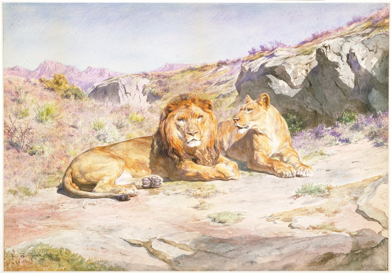 Kongelige hjemme av Rosa Bonheur