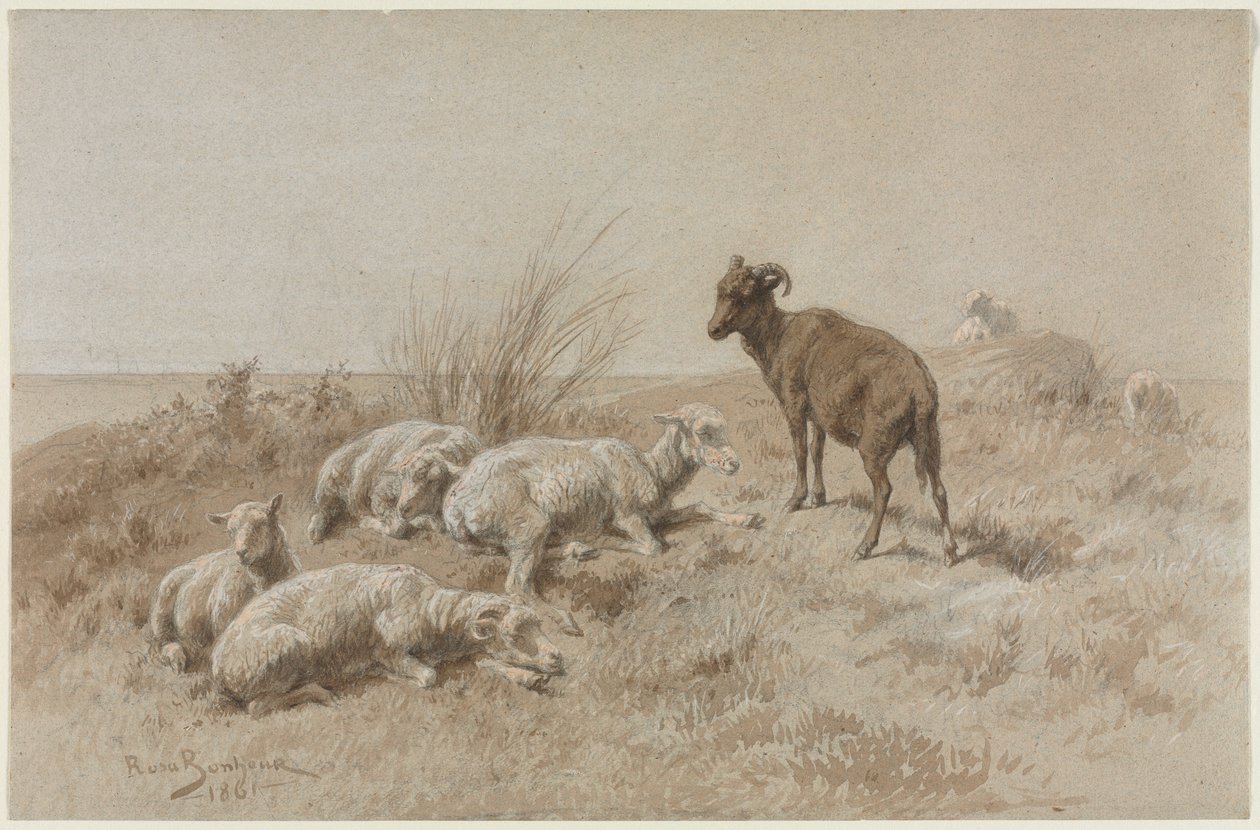 Sau av Rosa Bonheur