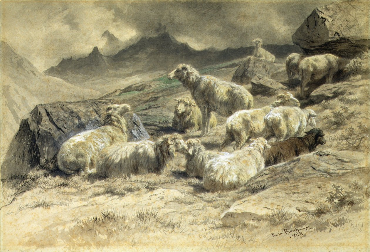 Sau av Rosa Bonheur