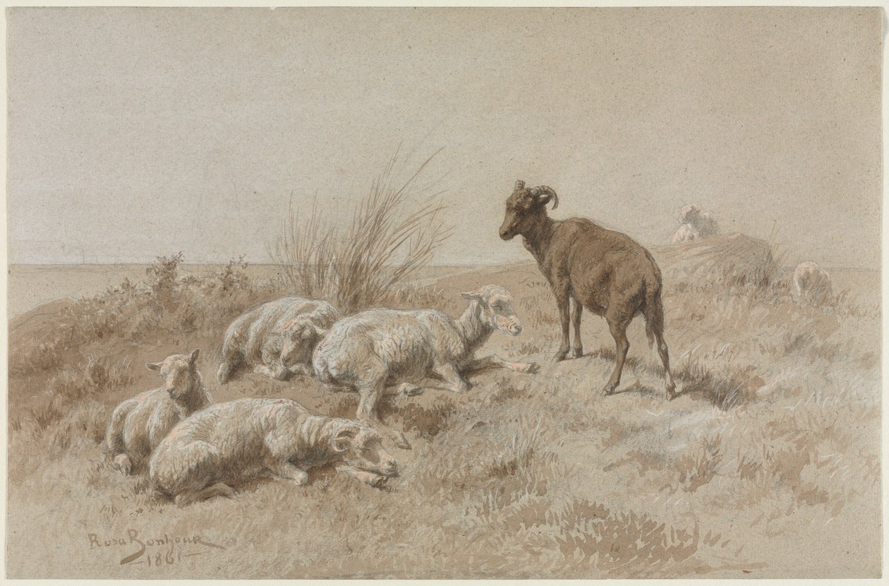 Sau av Rosa Bonheur
