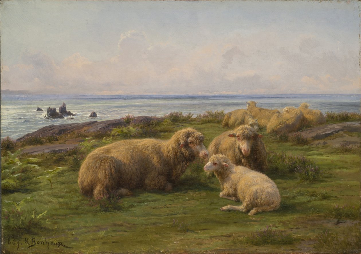 Sauer ved havet av Rosa Bonheur