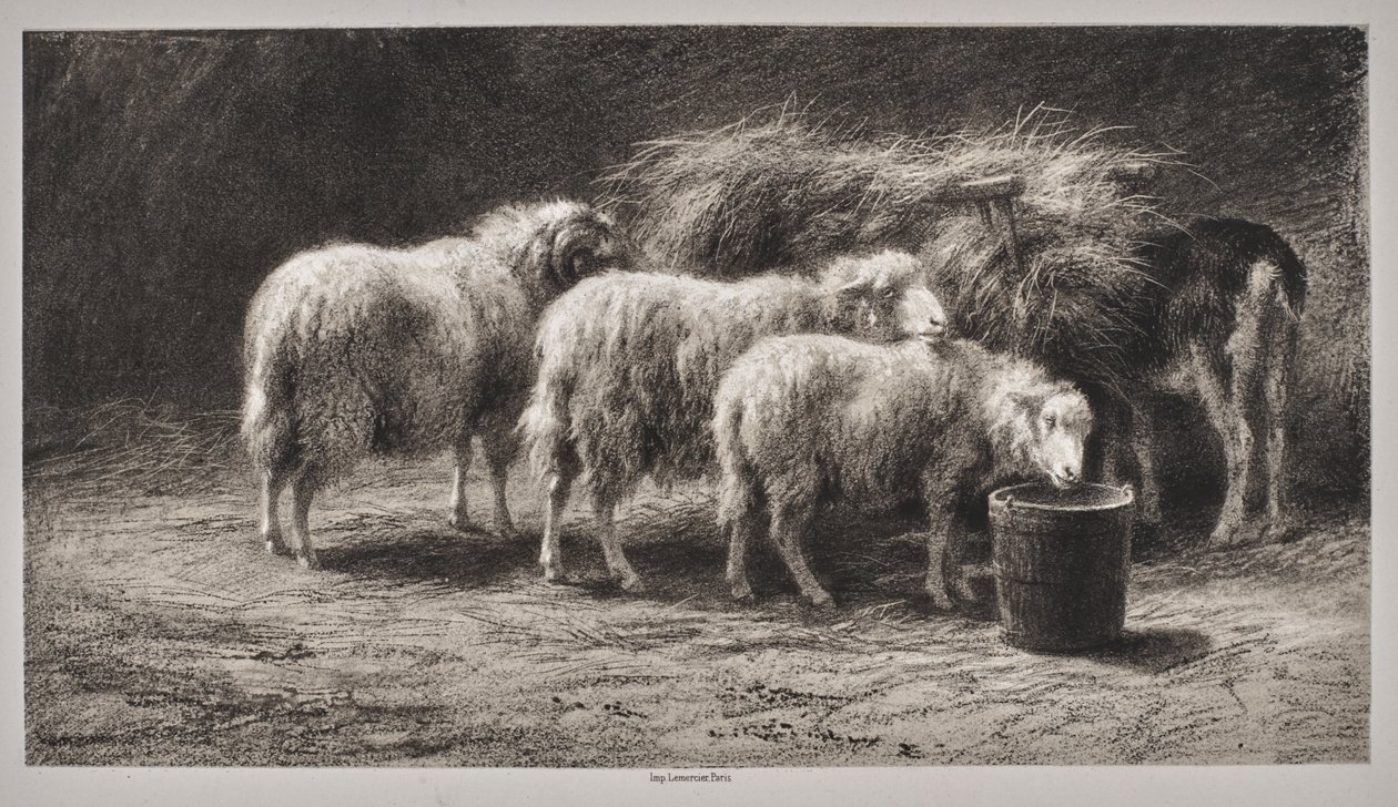 Sauefjøs av Rosa Bonheur