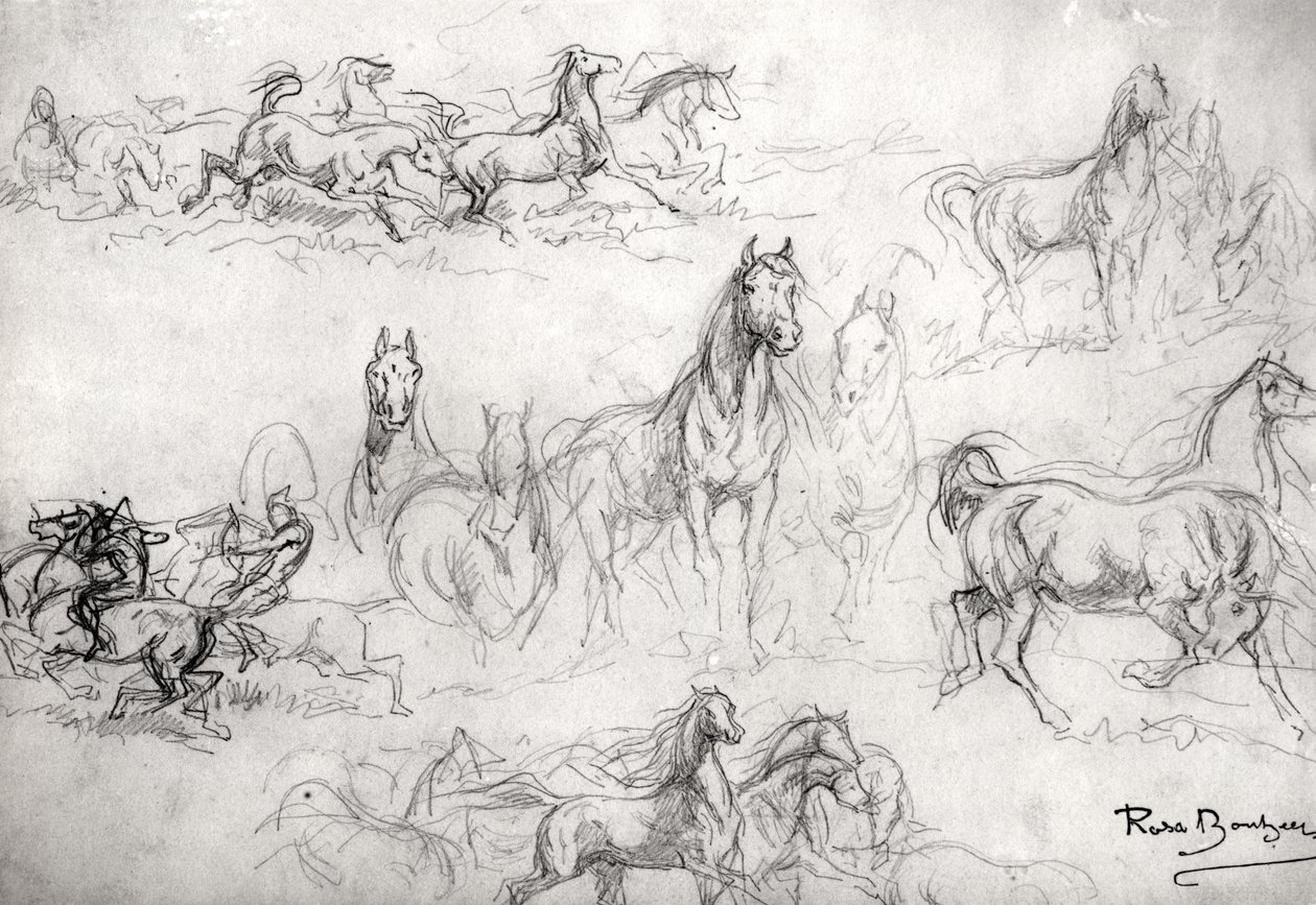 Studie av hester av Rosa Bonheur