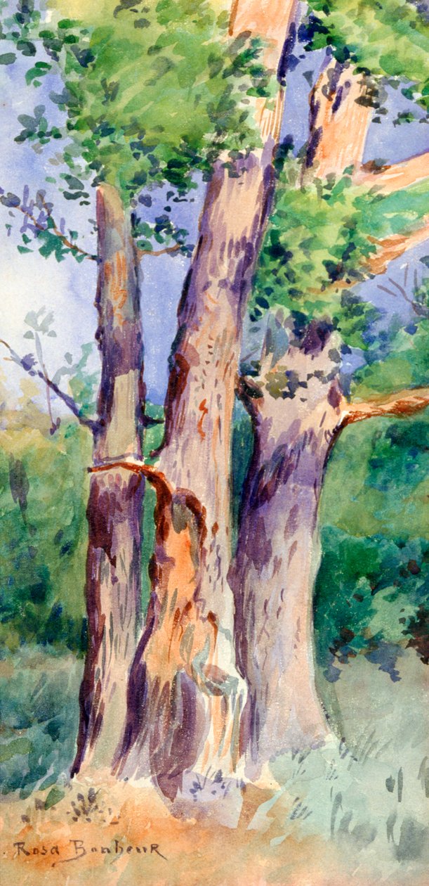 Study of Trees, c1842-1899 av Rosa Bonheur