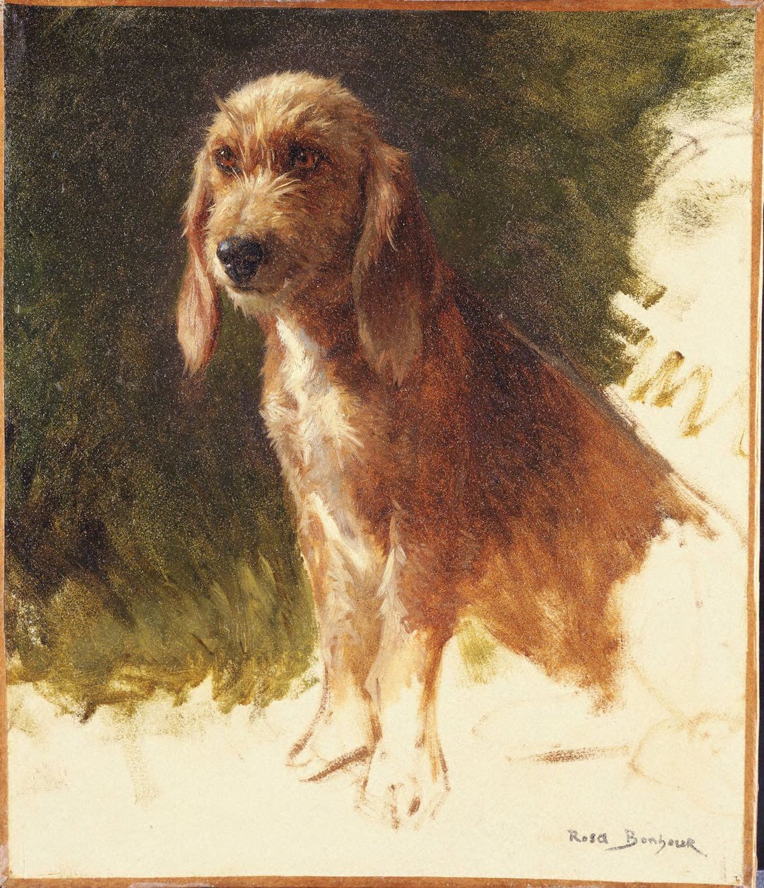Studie av en hund av Rosa Bonheur