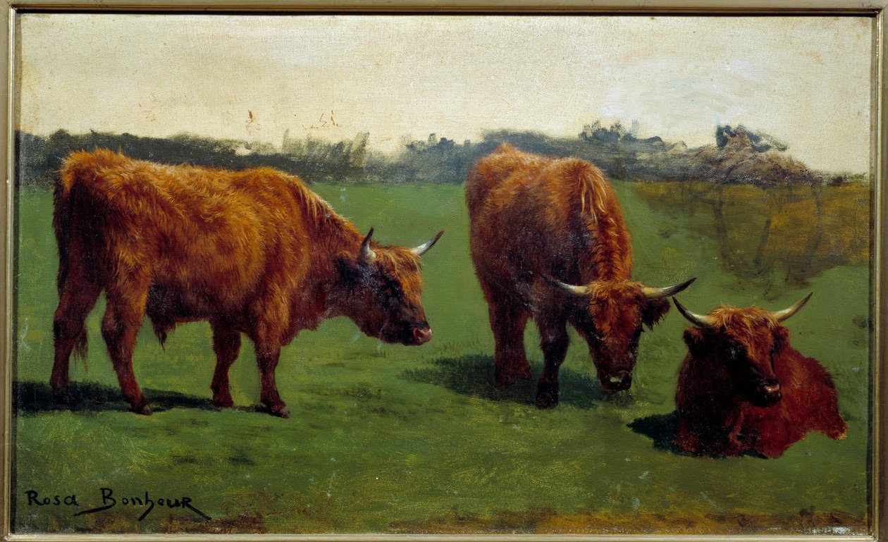 Tre studier av en rød biff i en pre. Maleri av Rosa Bonheur (1822-1899) av Rosa Bonheur