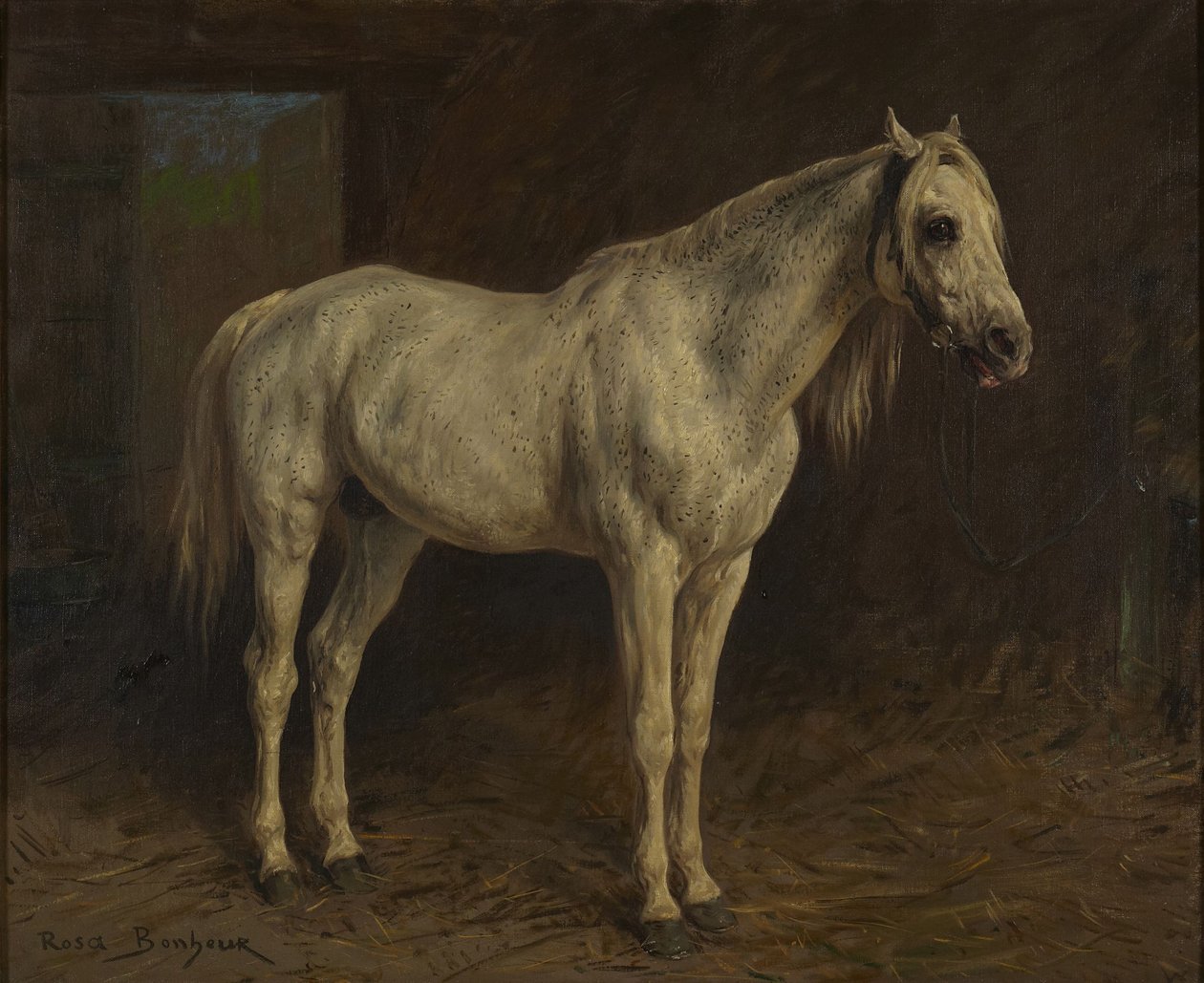 Hvit hest av Rosa Bonheur