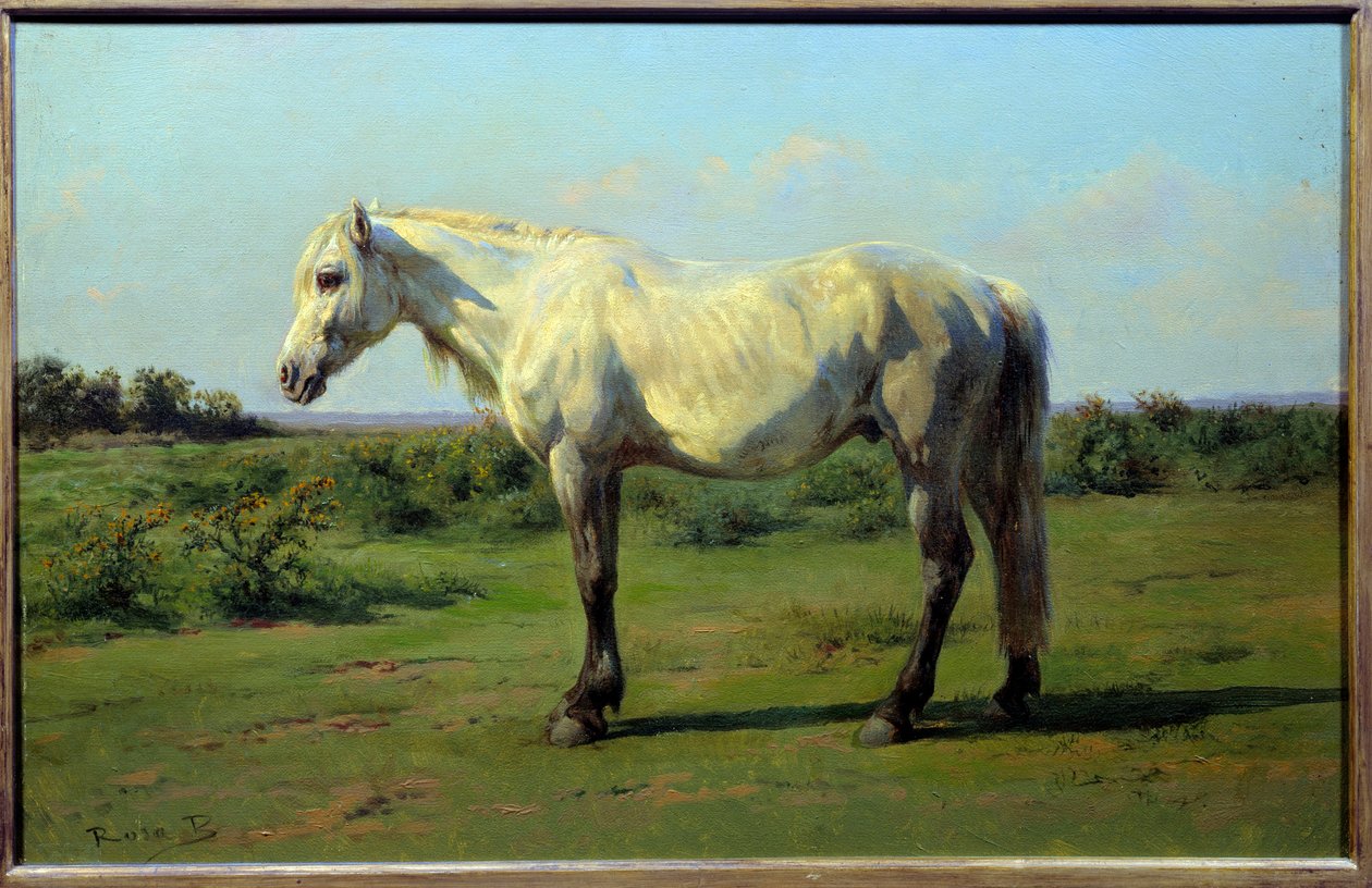 Hvit hest i en pre. Maleri av Rosa Bonheur (1822-1899) av Rosa Bonheur