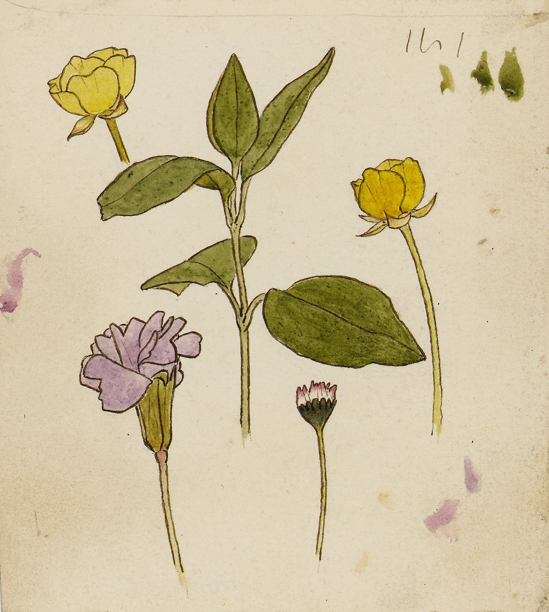  av Rosa Brett