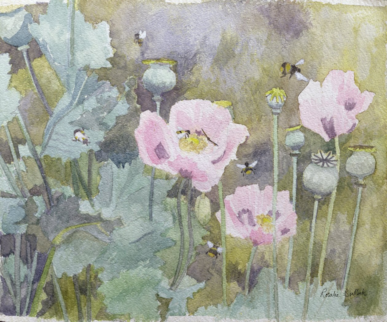 Rosa valmuer med bier (wc) av Rosalie Bullock